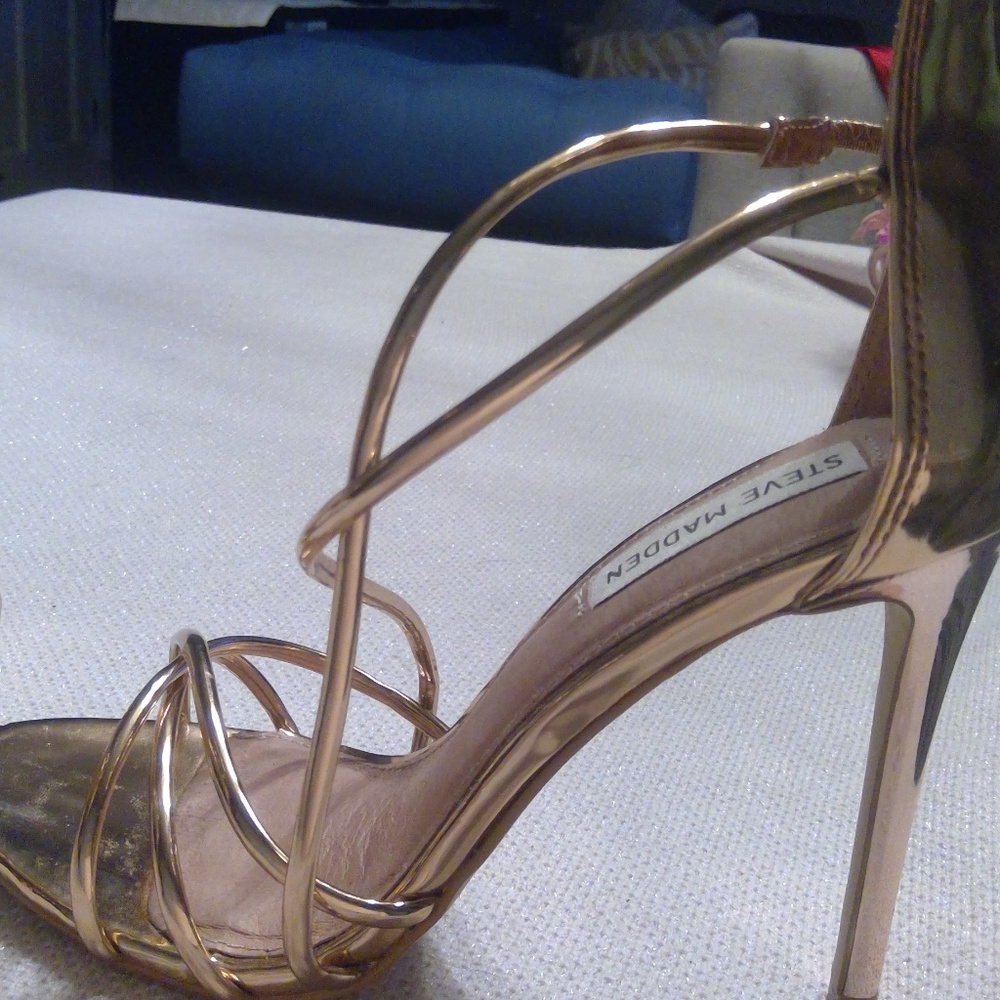 STEVE MADDEN